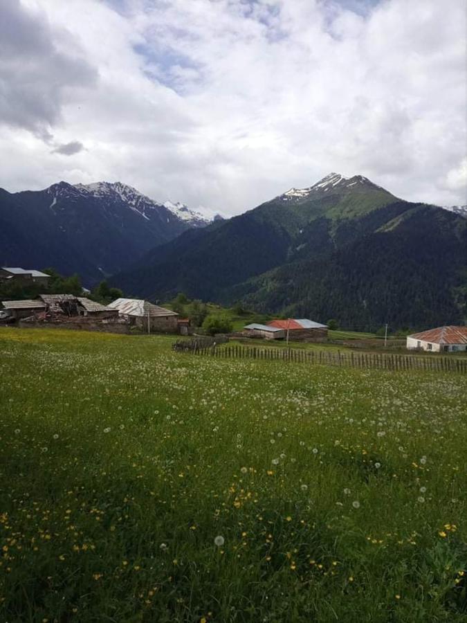 Shorena'S Homestay Tsvirmi Exterior photo