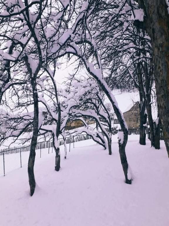 Shorena'S Homestay Tsvirmi Exterior photo